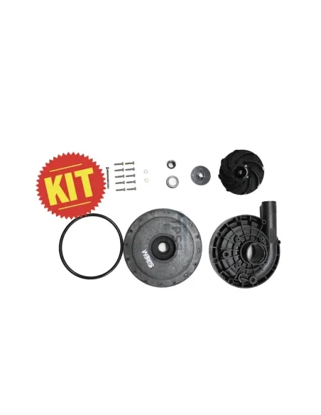 Kit de reparación para bombas de lavado Sirem tipo K