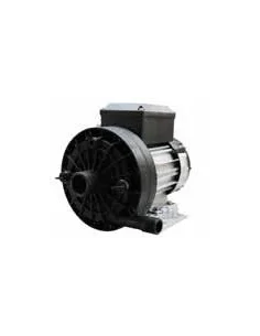 Bomba de lavado SIREM PB1C270H1B 1x230V (Prominox, DeLaval)