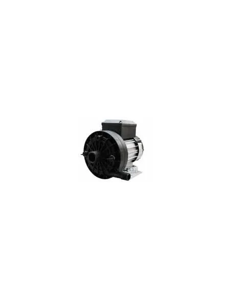Bomba de lavado SIREM PB1C270H1B 1x230V (Prominox, DeLaval)