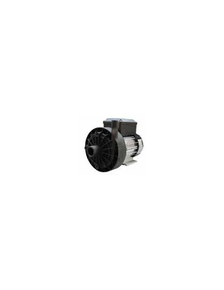 Bomba de lavado Sirem PB1C270H4B 1x230V (Prominox, DeLaval)