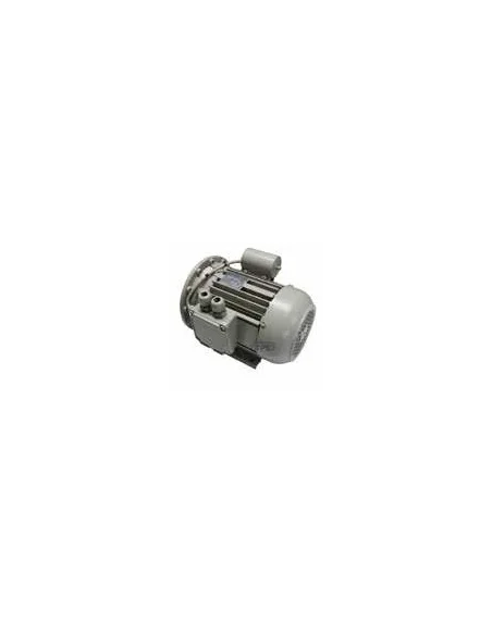 Motor eléctrico 1,5Kw 1x240V (Packo)