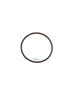Junta de brida para bomba FP66 (Packo)