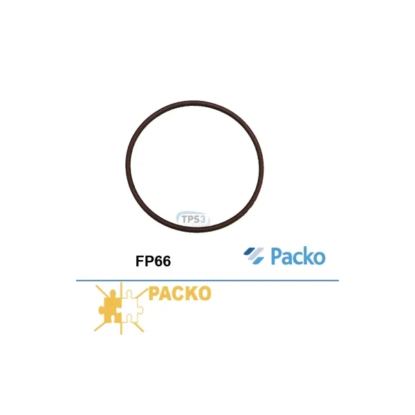 Junta de brida para bomba FP66 (Packo)