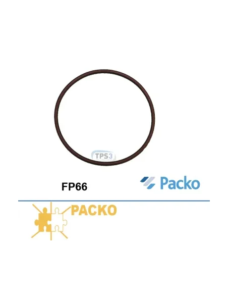 Junta de brida para bomba FP66 (Packo)