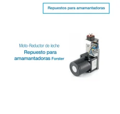 Moto-Reductor de Leche | Repuesto para Amamantadoras Forster