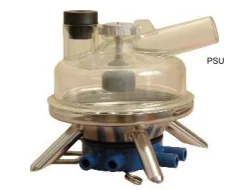 COLECTOR CALIFORNIA 335ML 