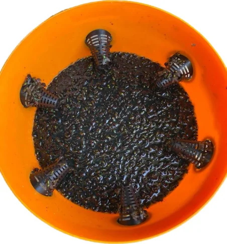 MOSC'ATTRAP Trampa para moscas -1