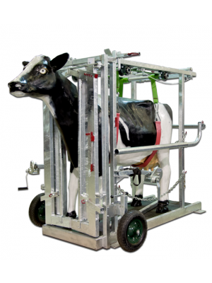 Potro de Inmovilizacion para vacas 